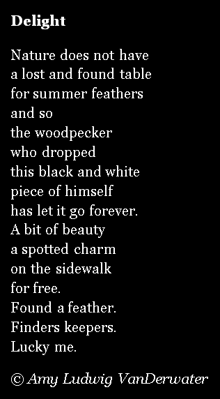 Free verse poem generator picture