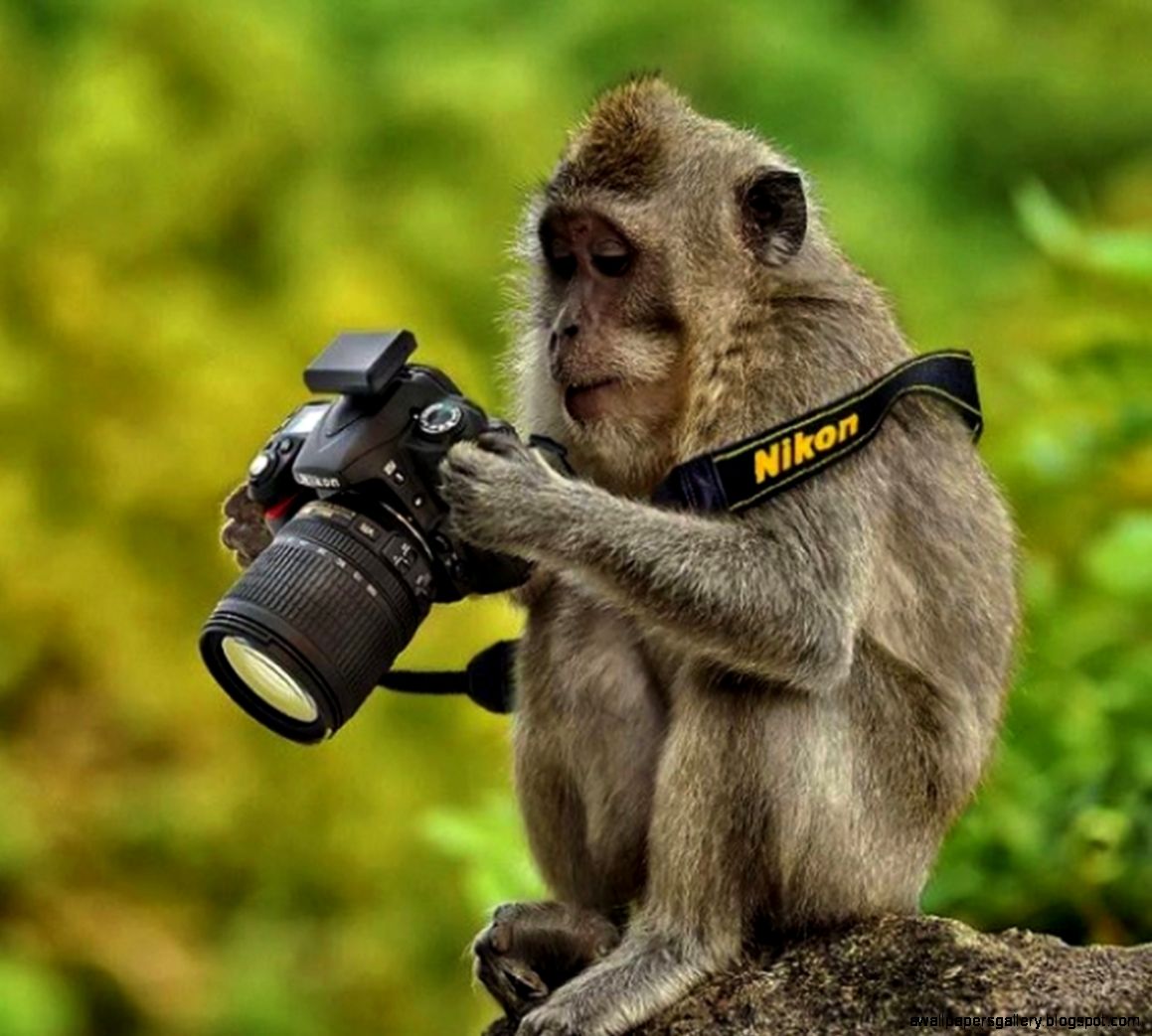 These Animal Photographers Are The Best In The World These Animal Photographers Are The Best In The World