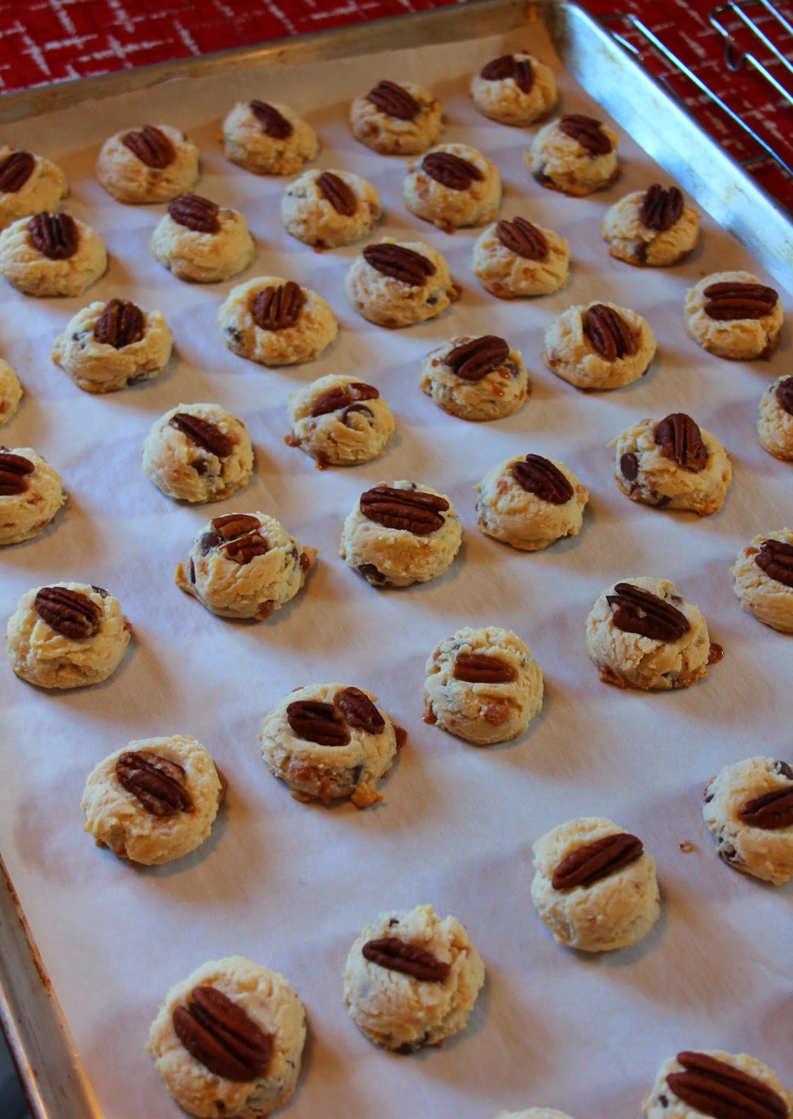 Jo and Sue Condensed Milk Chocolate Chip Caramel Pecan Shortbread