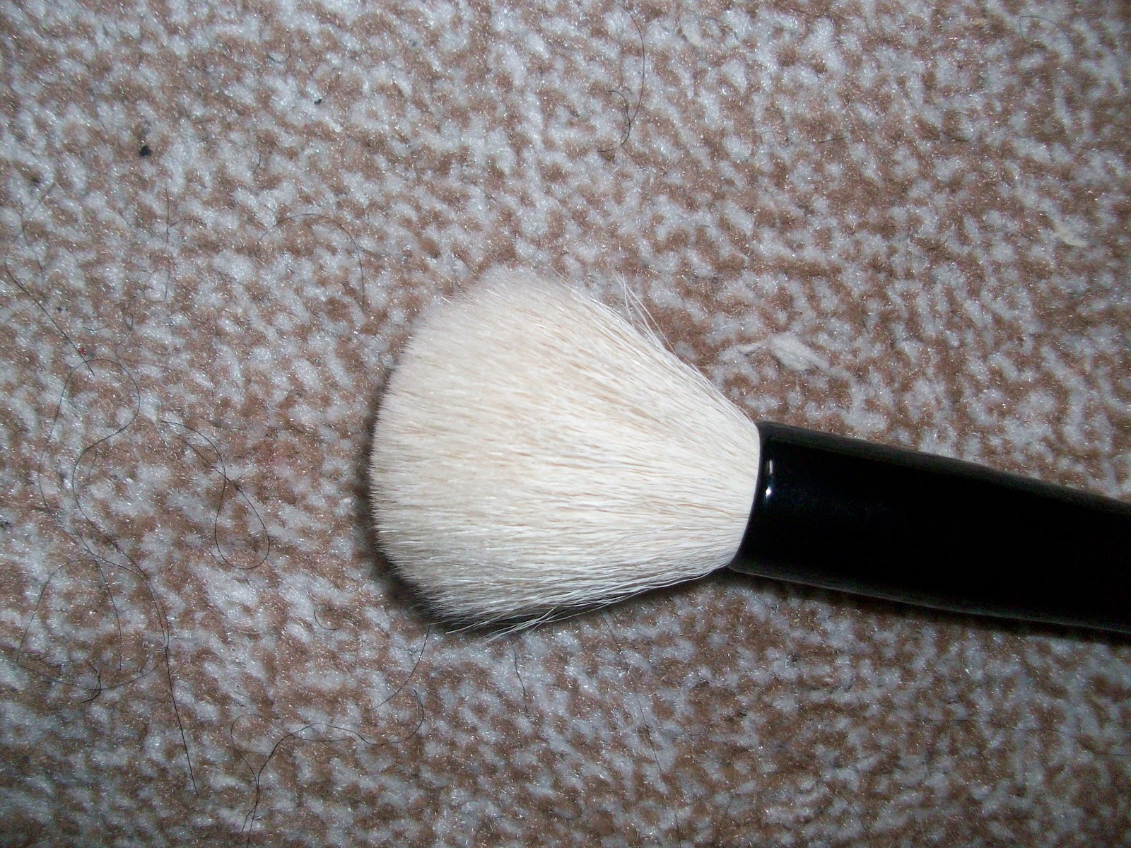 Brush Review Blush Beauty Travel Brush set