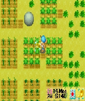 Harvest Harvest