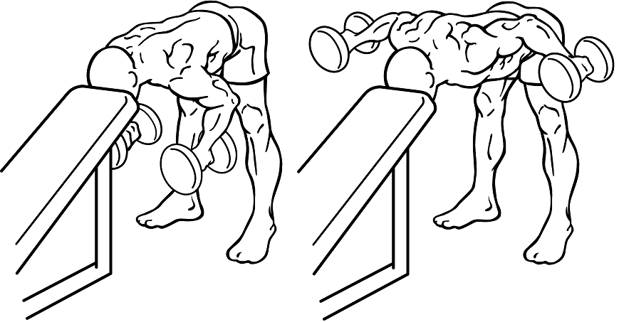 Pumpying Body Bent Over Dumbbell Rear Delt Raise With Head On Bench