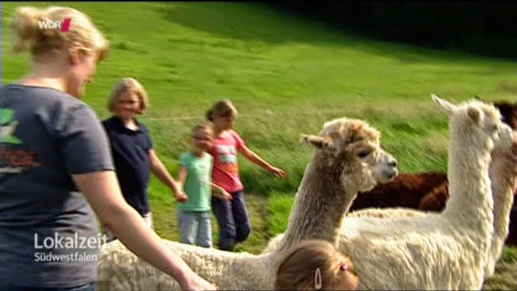 Freiarbeitsmaterial Grundschule Freiarbeitsmaterial Grundschule