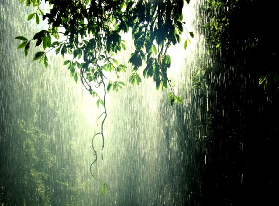 Bob Marley Rain Bob Marley Rain