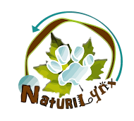 Projet NaturiLynx
