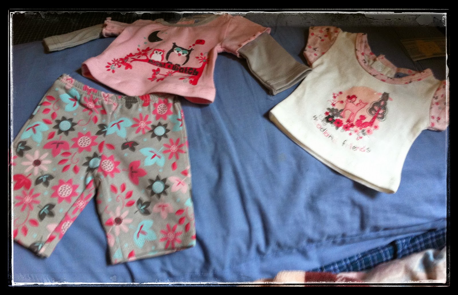 pumpkin patch teddy clothes