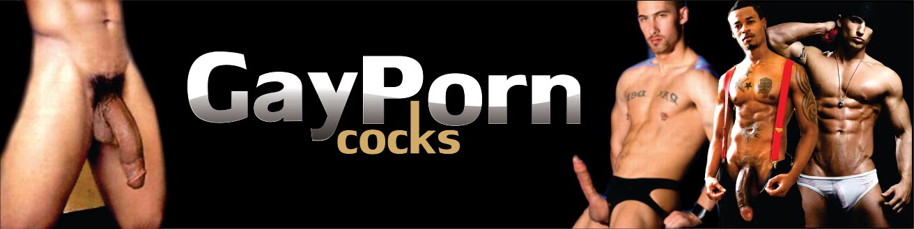 Gay Porn Cocks