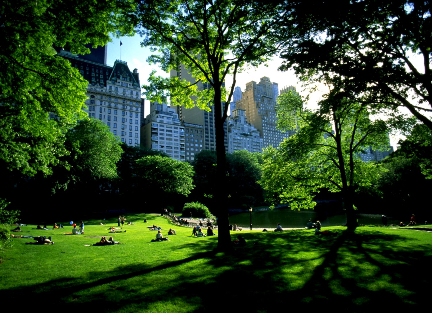 Central Park New York Central Park New York