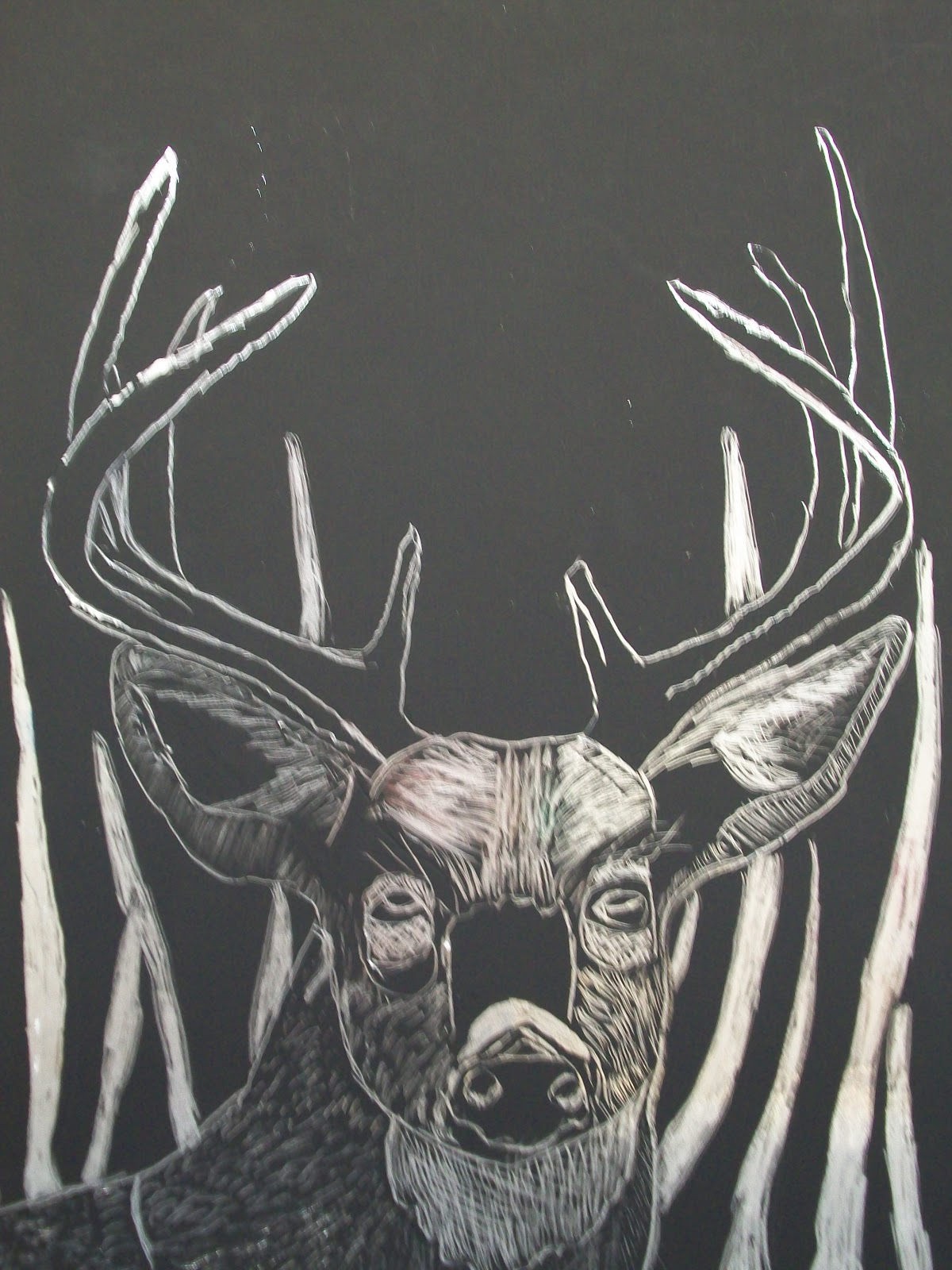 Digital Mixed Media scratch board 5/17/13