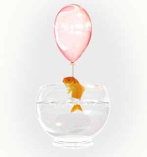 Goldfish with a balloon.