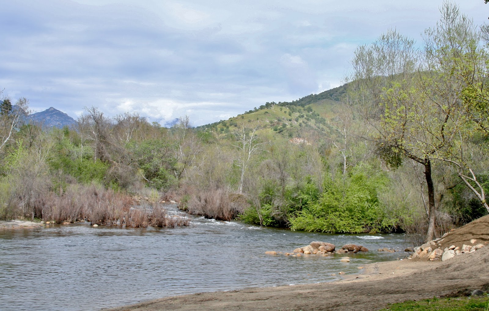 Joe, Diane, & Mallery's Big Adventure Modern Day Gypsies Kaweah Park