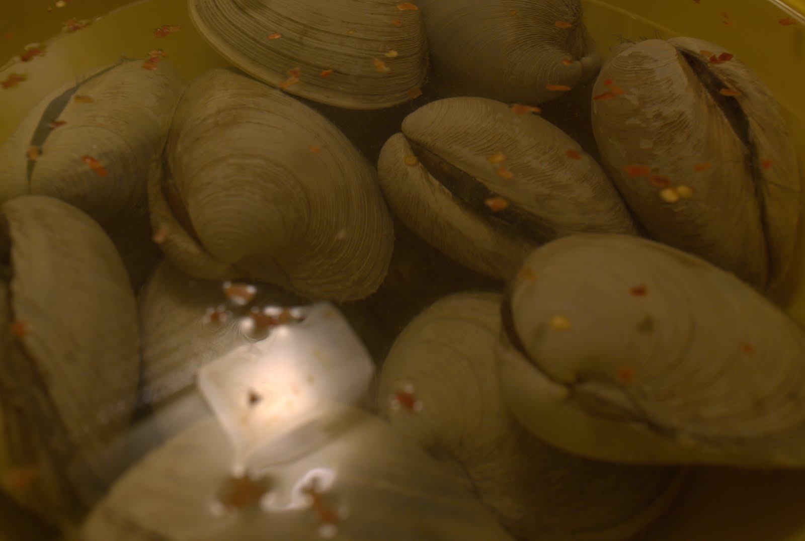 Soused Blueberries Classic Southern New England Stuffed Quahogs