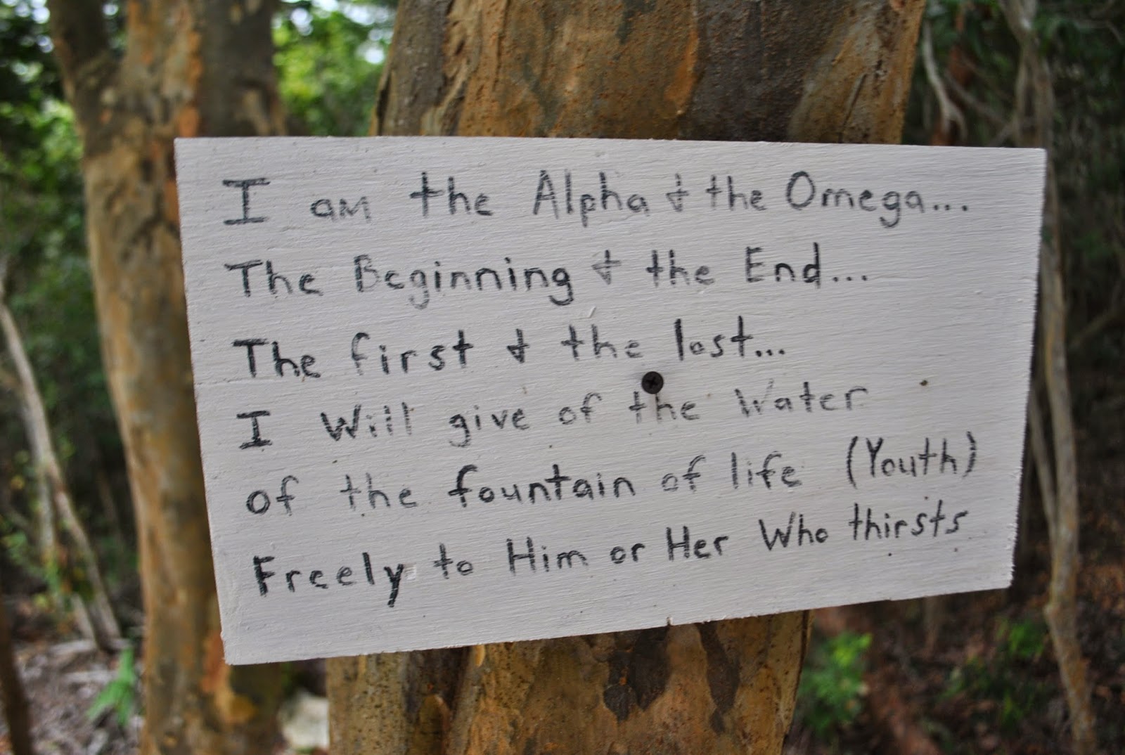 Searching For The Fountain of Youth