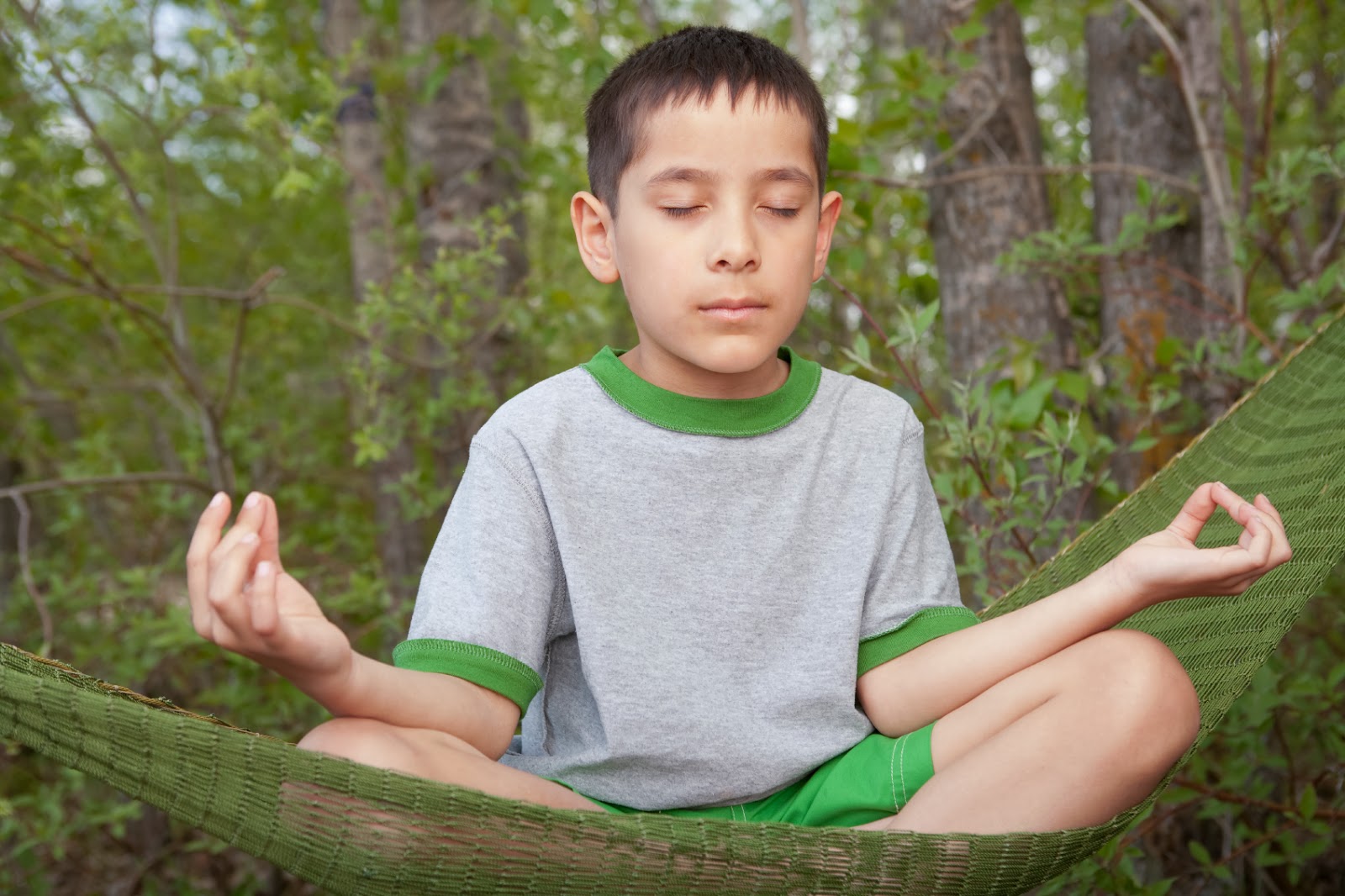 Tree of Mind Helping children to selfregulate through breath