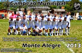 Campeão 2013