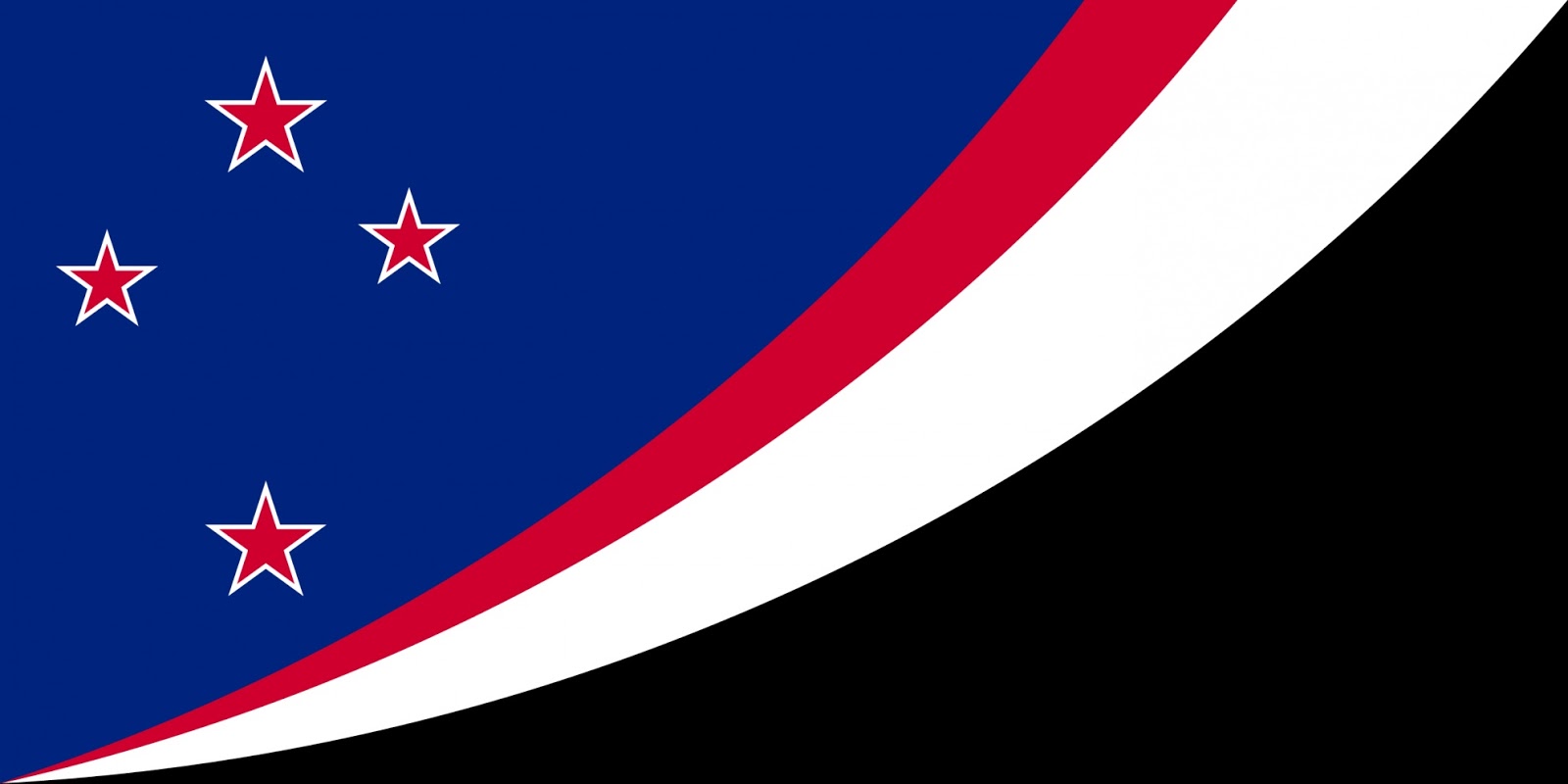 The Guild Review New Zealand's New Flag
