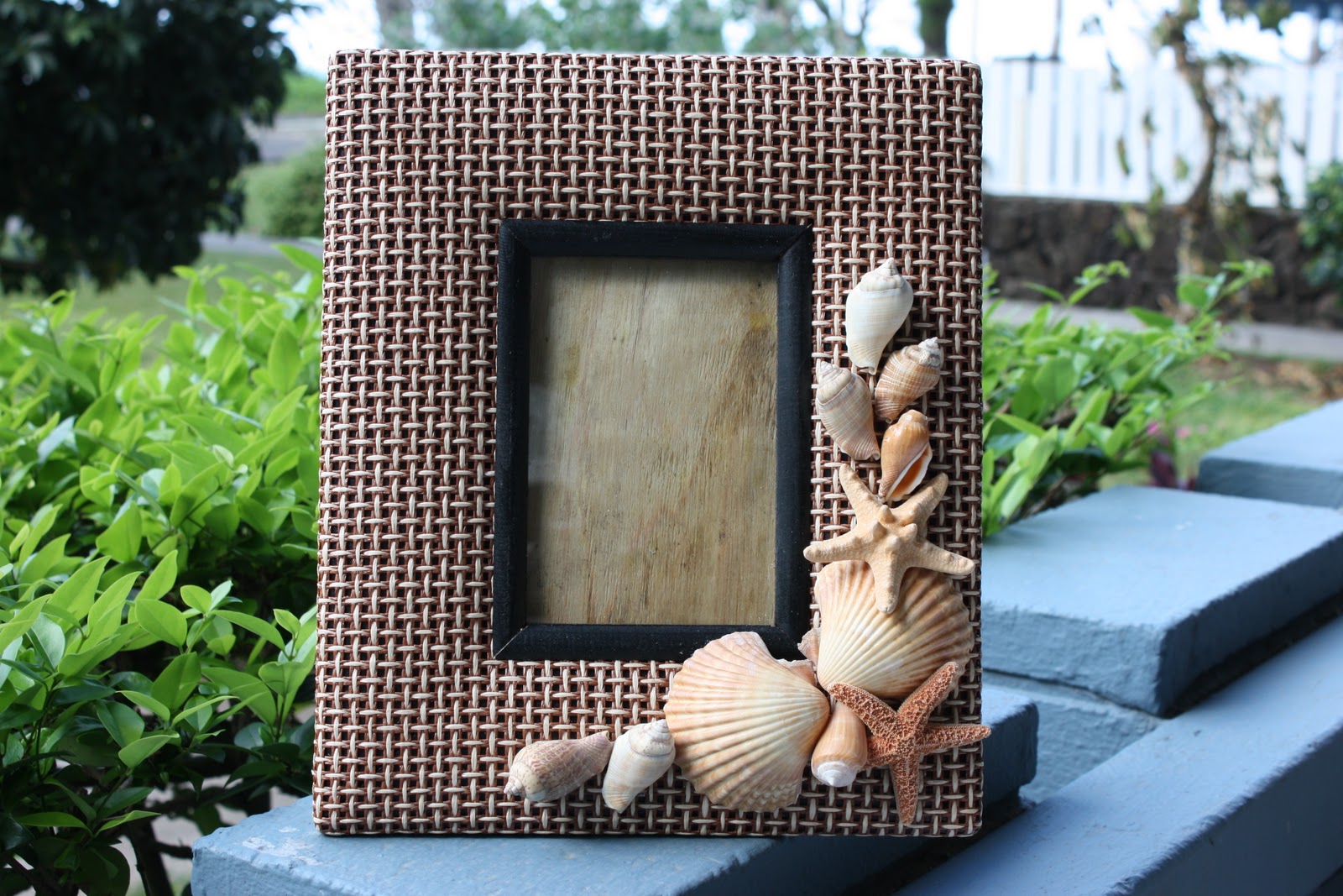 "Deco/Shell Picture Frames" Hawaiian Songbird