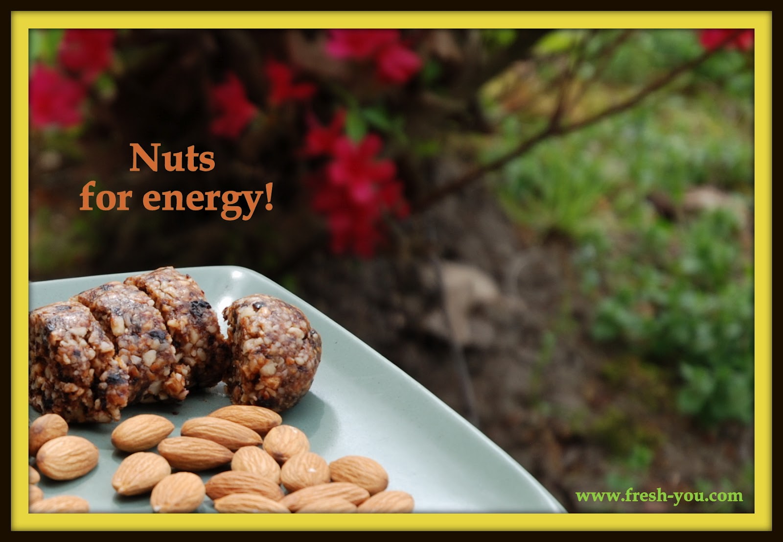 FreshYou Nutrition, Fitness, and Wellness EAT for Energy Grains