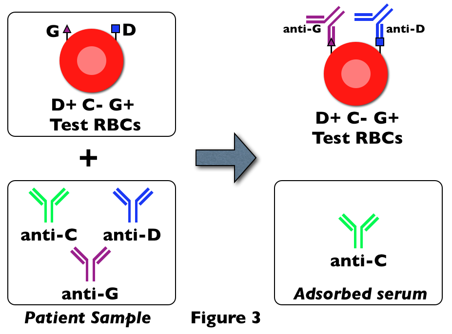Blood Bank Guy Blog G Whiz!