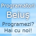 Programatori Beius