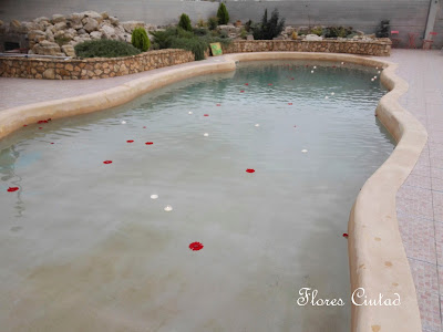 Flores Ciutad - Decoración piscina