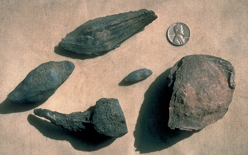 gatos acasalando  E o efeito Chuck Norris