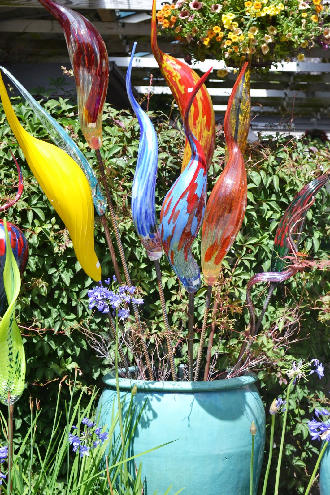 The Outlaw Gardener Visiting Rosedale Gardens in Gig Harbor, WA