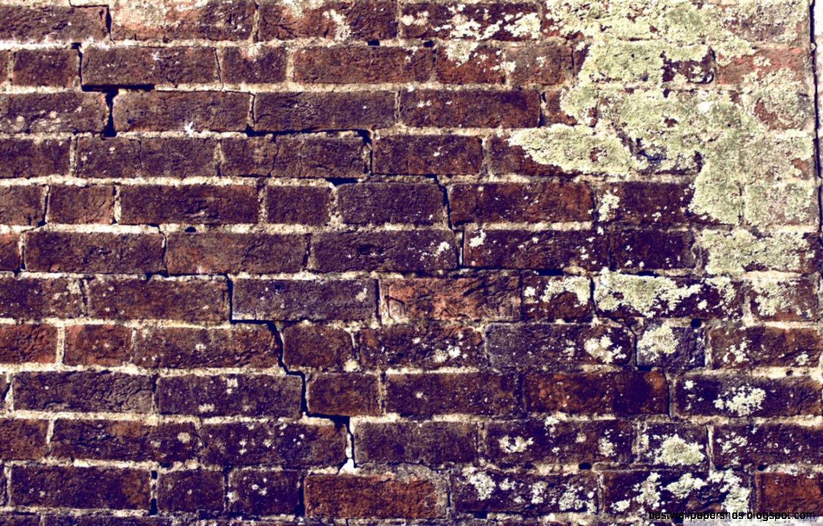 Brick Wall HD desktop wallpaper High Definition Dual Monitor Brick Wall HD desktop wallpaper High Definition Dual Monitor