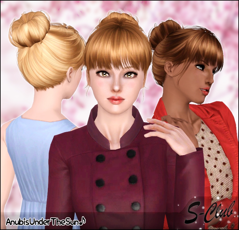 Hair Mesh N3 Chignon Retextured for teentoelder anubis360