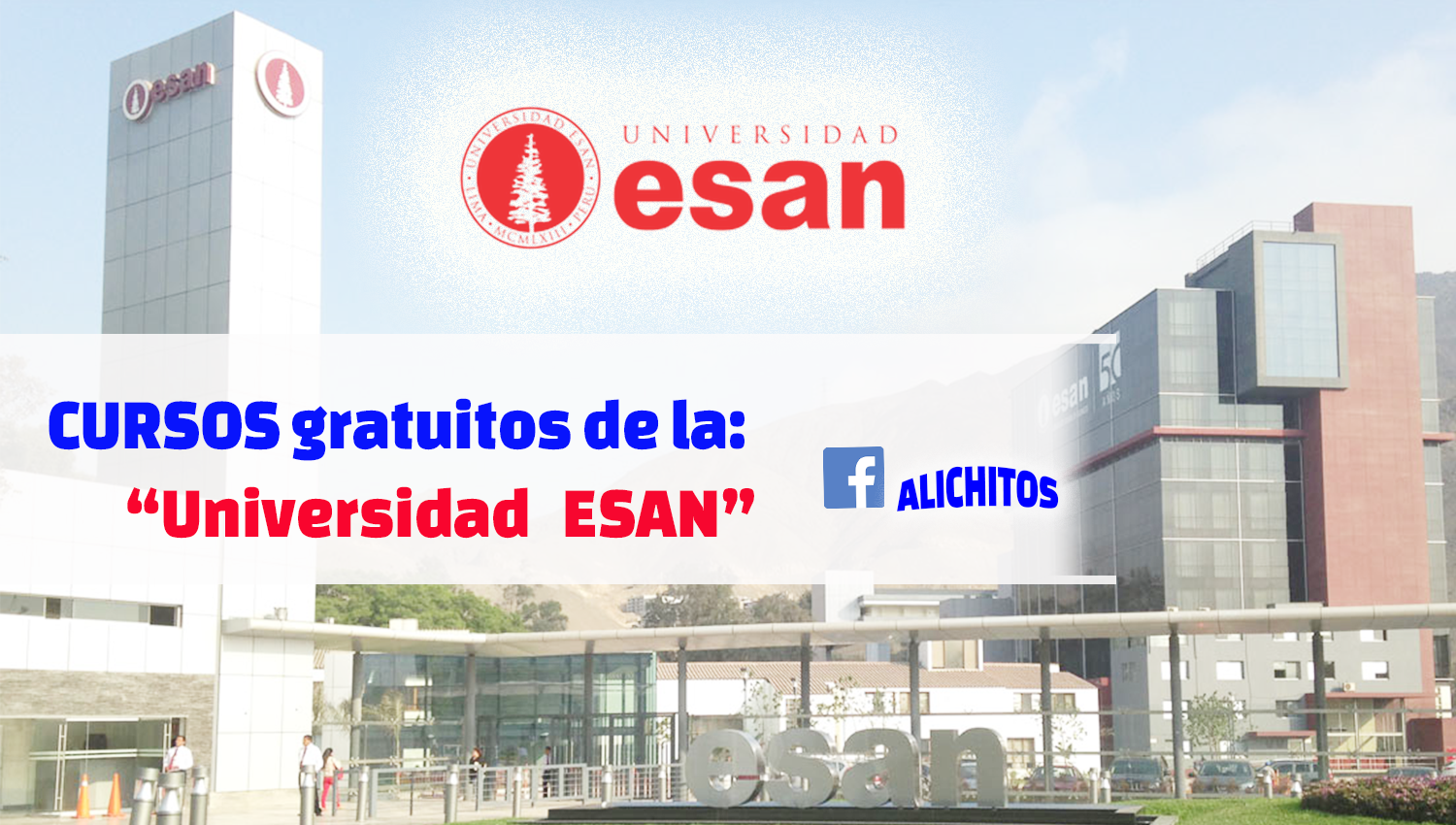 Cursos gratuitos de la universidad esan escuela de negocios Alichitos