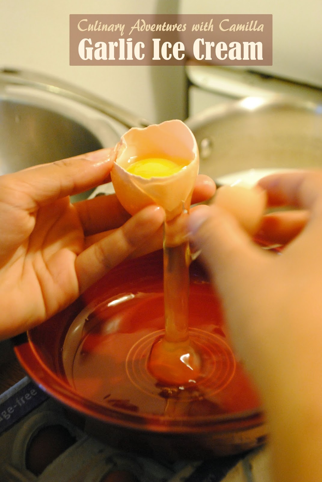 Culinary Adventures with Camilla Garlic Ice Cream