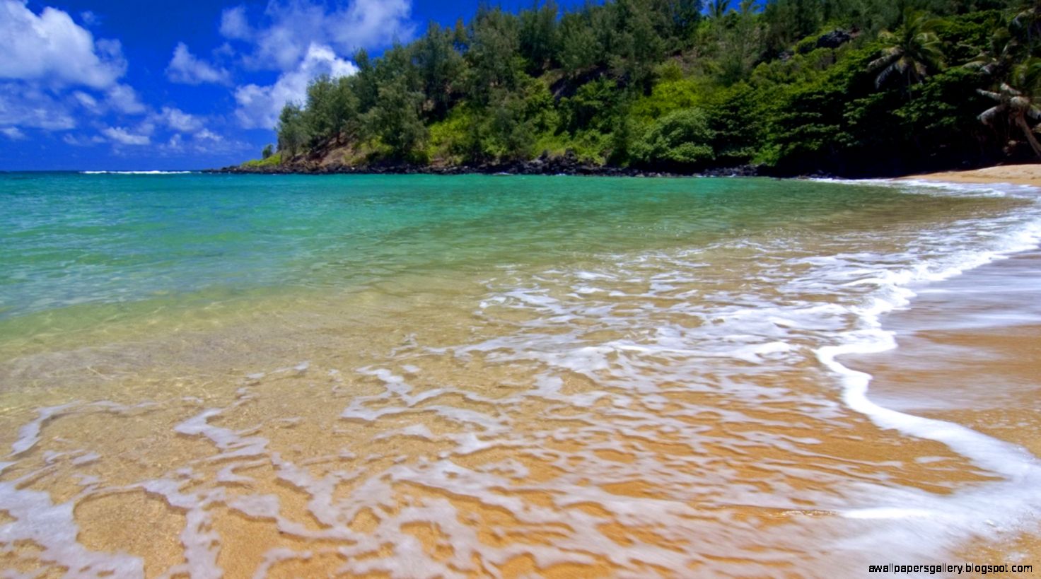 Ocean Waves Beach wallpaper Ocean Waves Beach wallpaper