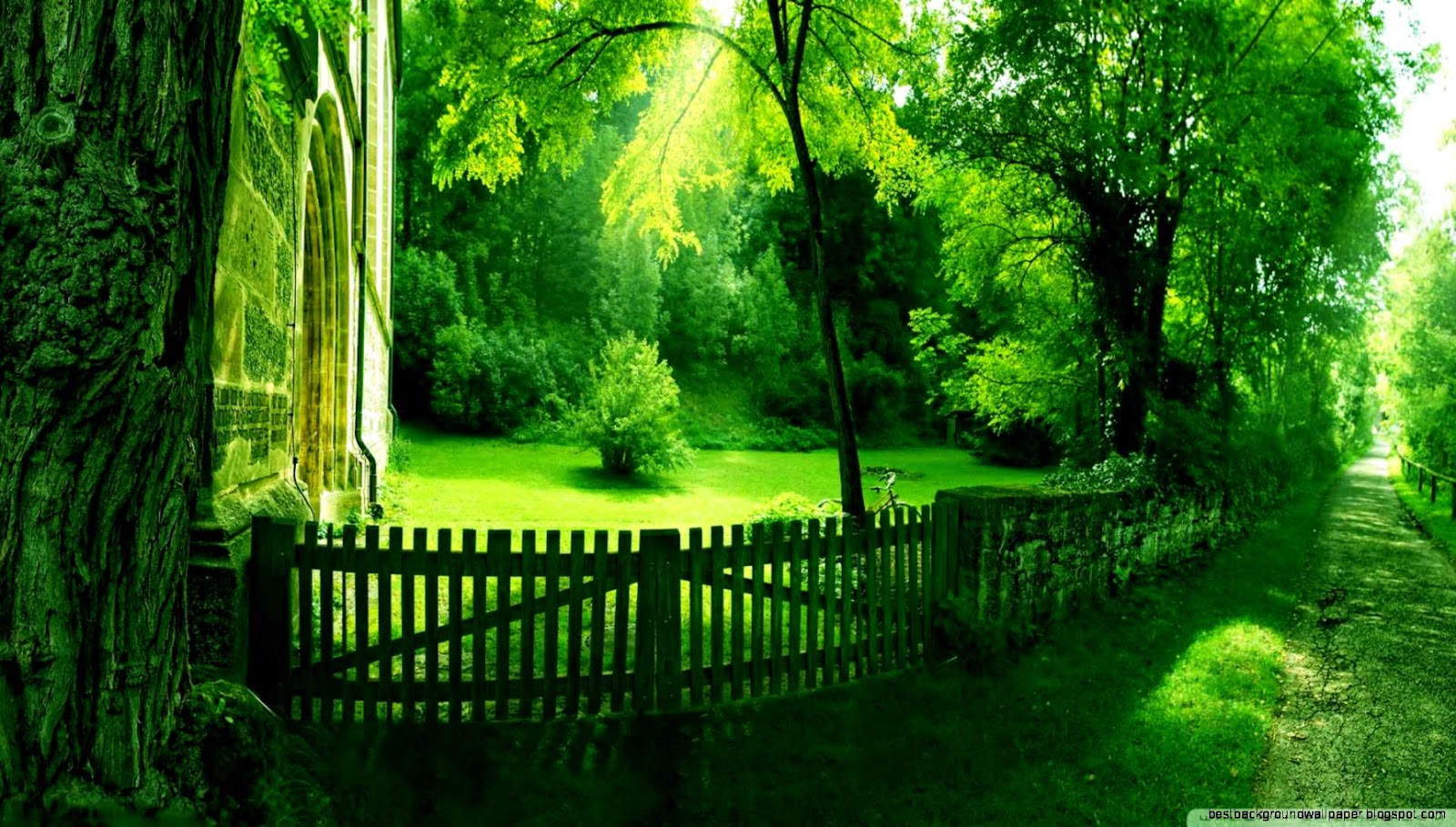 Summer Nature Desktop Wallpaper Summer Nature Desktop Wallpaper