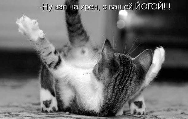 Фото приколы про любовь с надписями. Смешные - смешные картинки про любовь с надписью