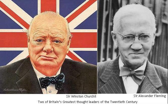 foxnfrogs The world is round!!