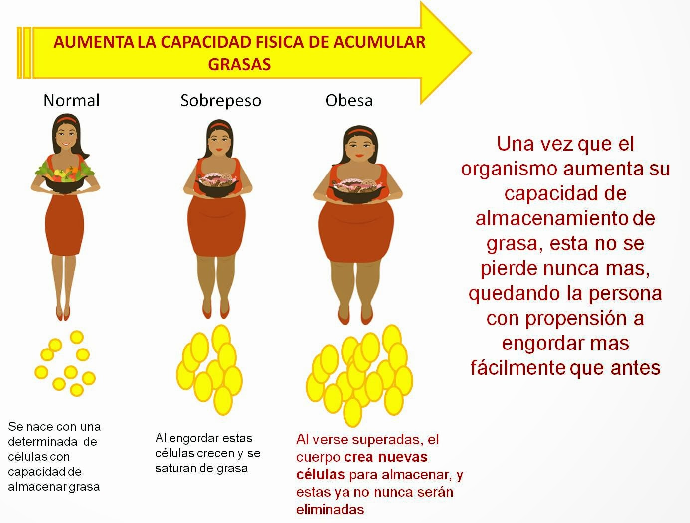 Antes del metodos para bajar de peso ana y mia preparador metodos para bajar de peso ana y mia