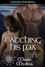 Catching His Fox (Year of Suns 3)