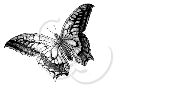 Butterfly Baby Footprints On Back Girly Tattoo Image Jpg 600