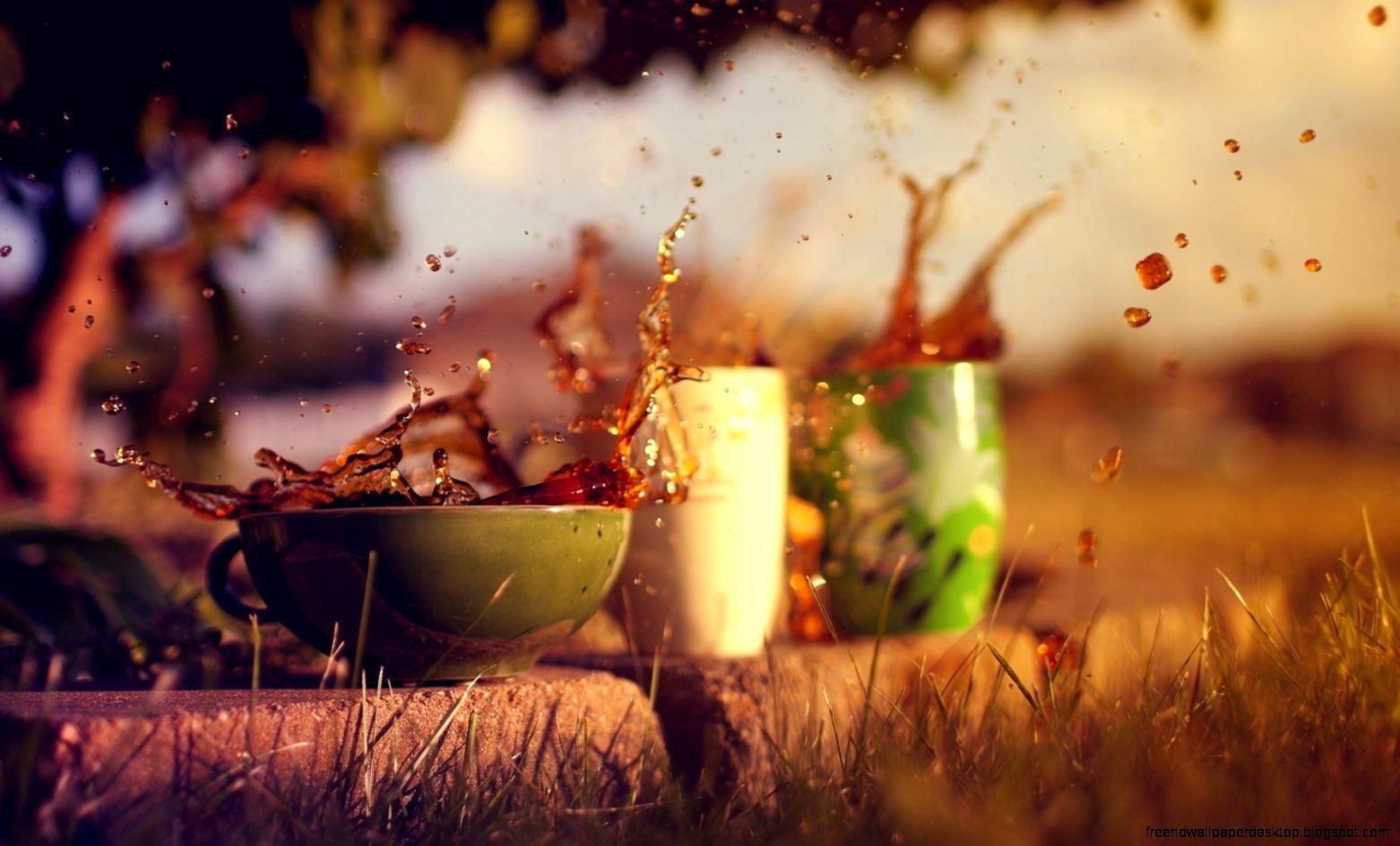 Mood Cups Spray Splash Tea Close up Hd Wallpaper Wallpaper List Mood Cups Spray Splash Tea Close up Hd Wallpaper Wallpaper List