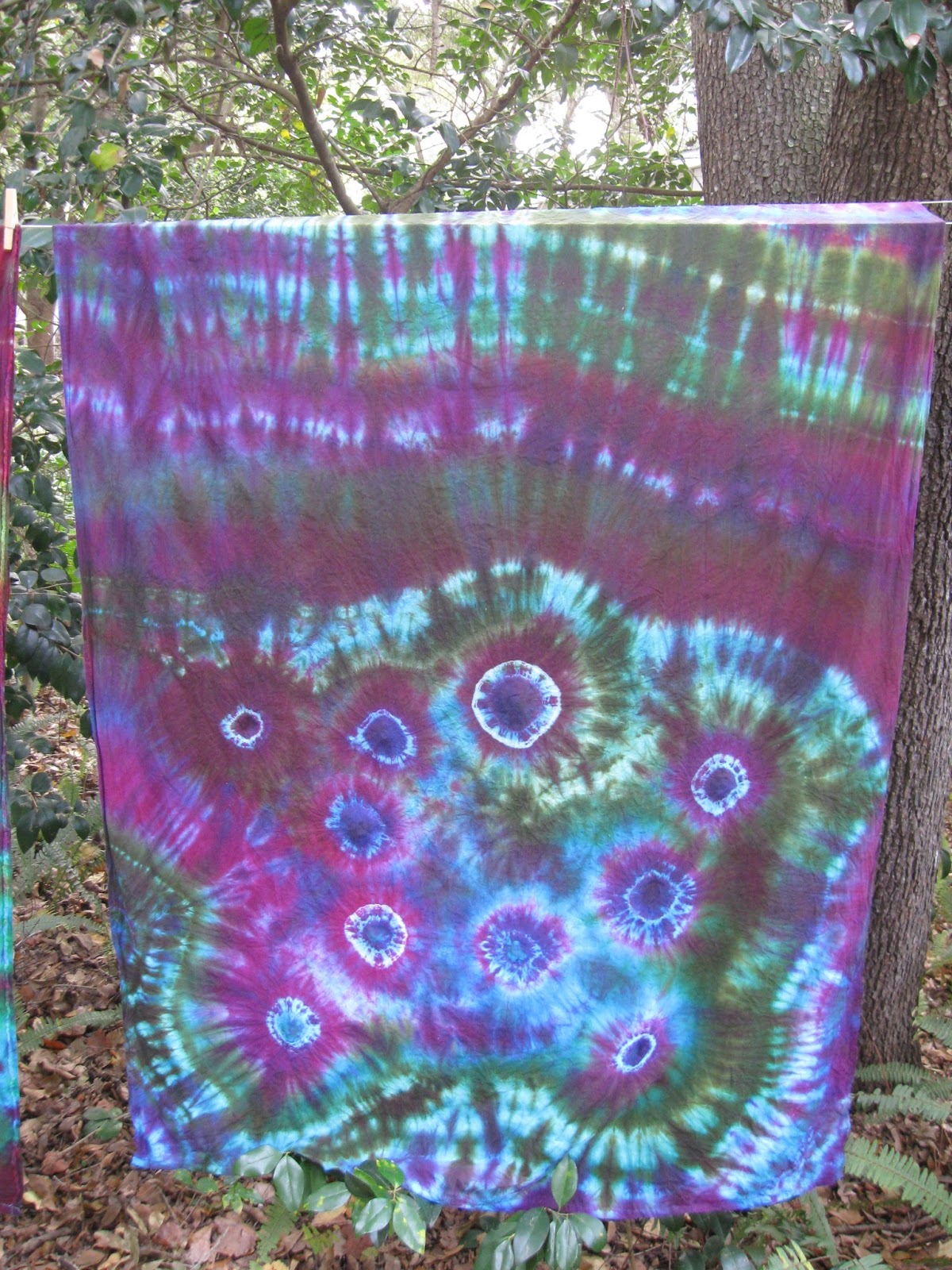 Cynthia voigt michele slung essay 07 picture