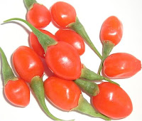 manfaat buah goji berry
