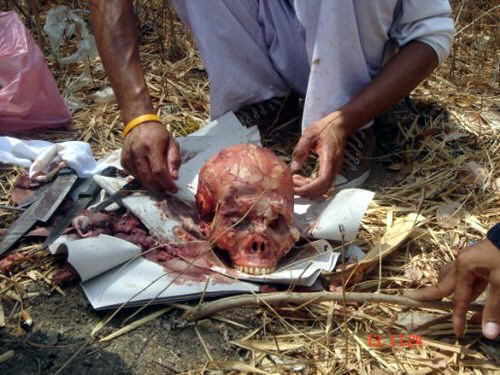 Ritual Pemuja Iblis ! Berpesta Makan Daging Manusia (photo) [ www.BlogApaAja.com ]