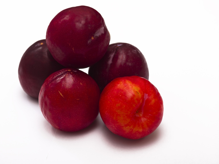 Sports 4 All Foundation Plums are plum good!