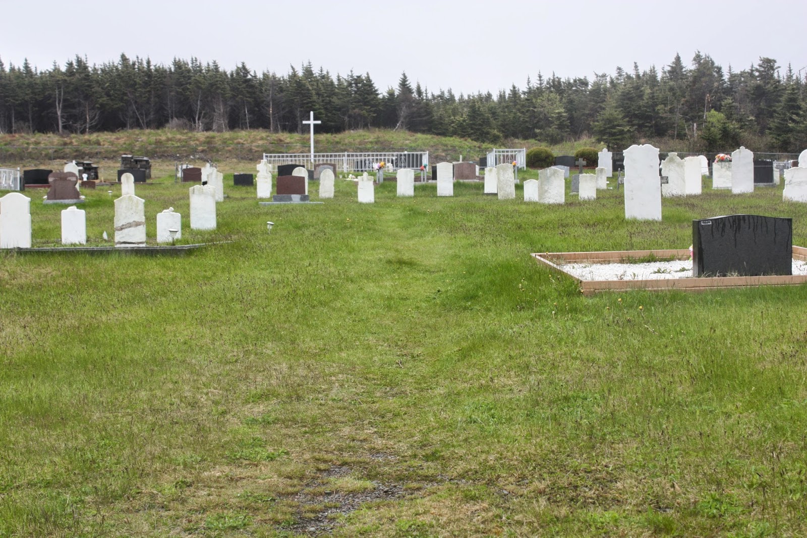 Flynn's Hill St Patrick's Cemetery Ship Cove
