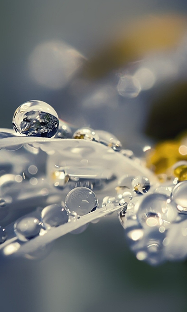 BlackBerry Z10 768x1280 Wallpapers - BlackBerry 10 Wallpapers