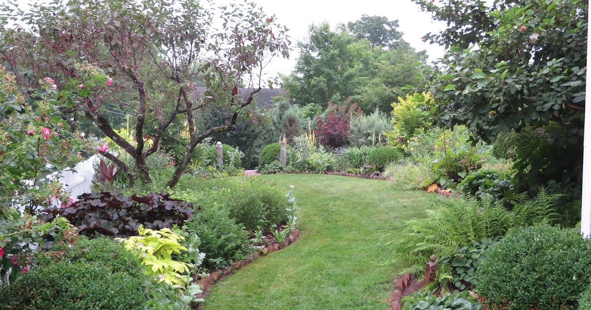 The Gardener�s Eye MidAtlantic Group Hardy Plant Society