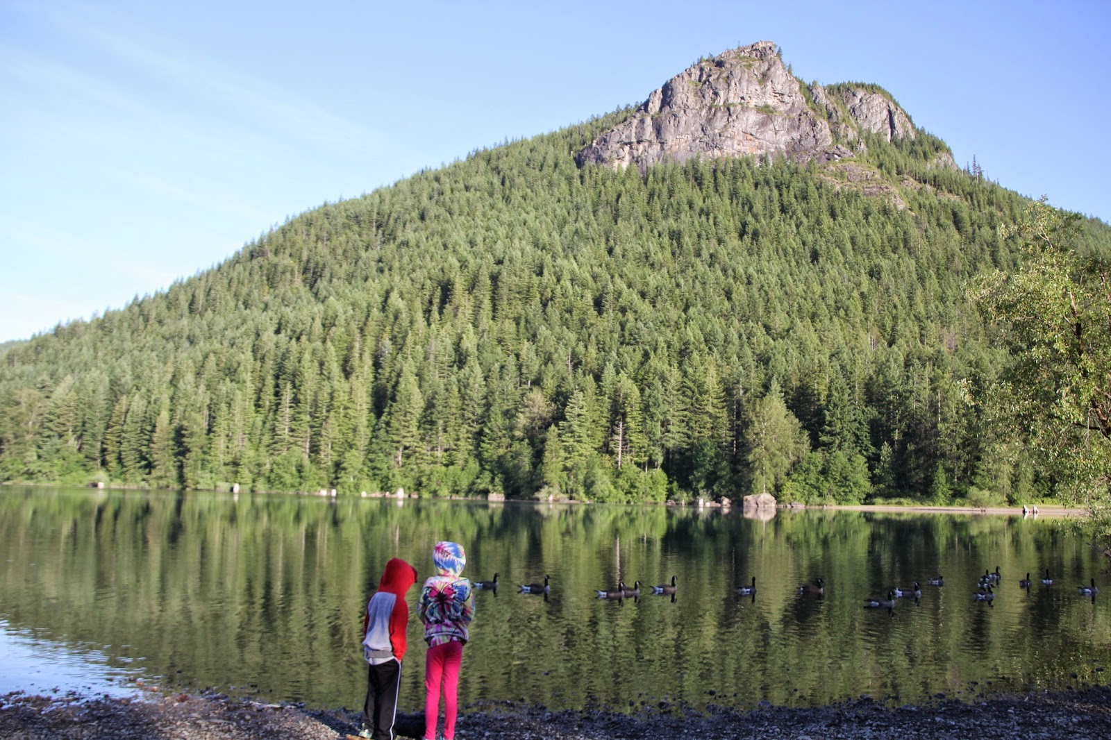 Chloraphil?? More like Bore-a-phil!: Rattlesnake Ridge 50K Race Report