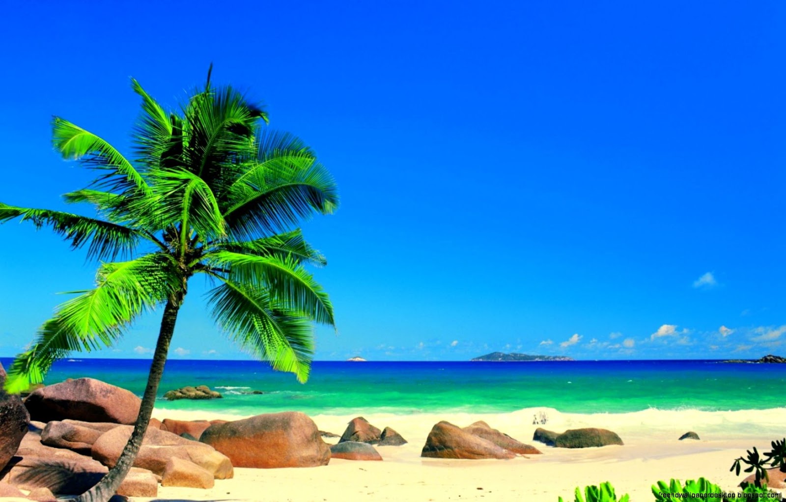 HD Tropical Beaches HD Tropical Beaches