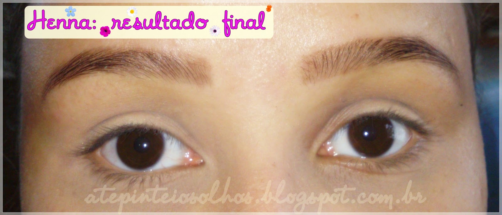Priscilla Oliver Blog: Tutorial: Fazendo a henna em casa!