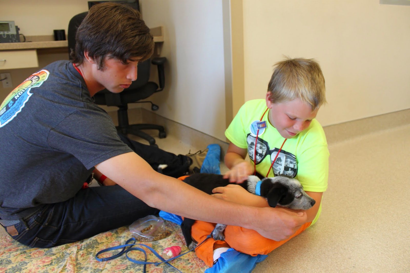 best friends animal society a different kind of home midcentury